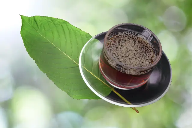 Transform Your Wellbeing: Top Reasons to Choose High-Quality Kratom Powder